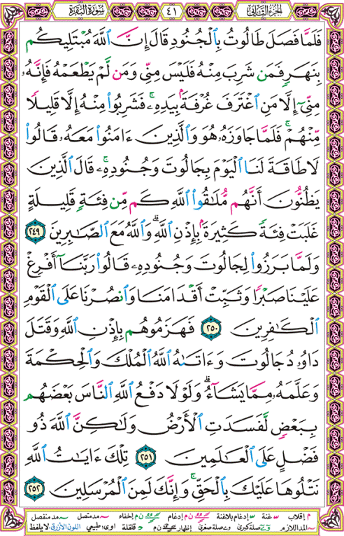الصفحة رقم 41 من القرآن الكريم مكتوبة من المصحف