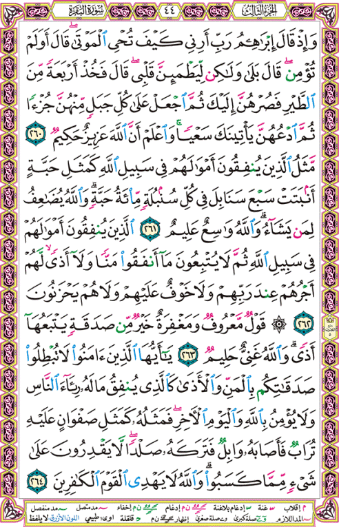 الصفحة رقم 44 من القرآن الكريم مكتوبة من المصحف