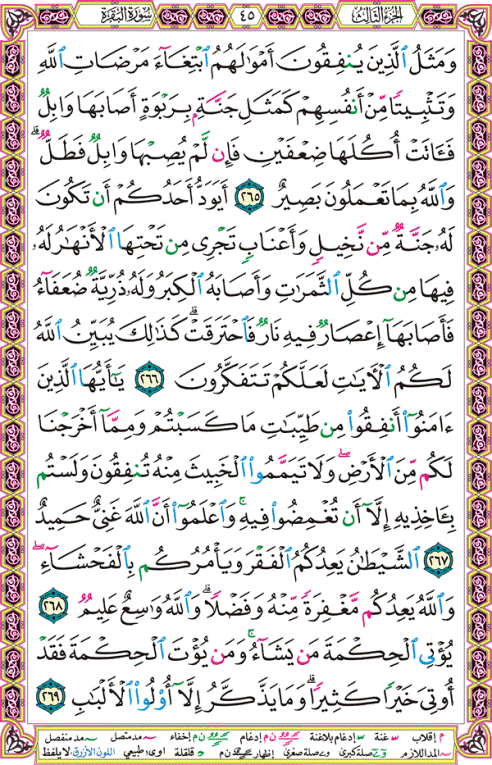 الصفحة رقم 45 من القرآن الكريم مكتوبة من المصحف