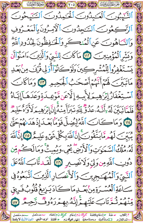 الصفحة رقم 205 من القرآن الكريم مكتوبة من المصحف