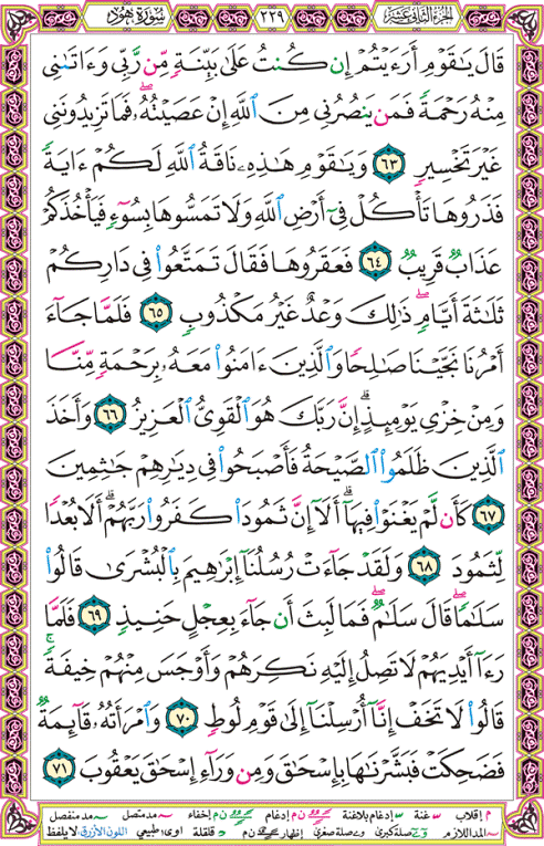 الصفحة رقم 229  من القرآن الكريم مكتوبة من المصحف