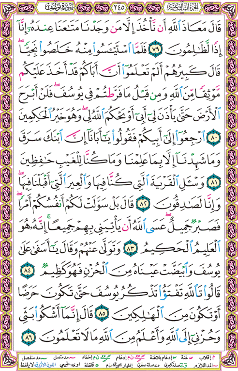 الصفحة رقم 245  من القرآن الكريم مكتوبة من المصحف