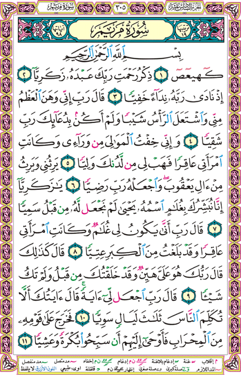 الصفحة رقم 305  من القرآن الكريم مكتوبة من المصحف