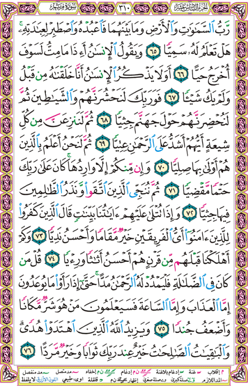 الصفحة رقم 310  من القرآن الكريم مكتوبة من المصحف