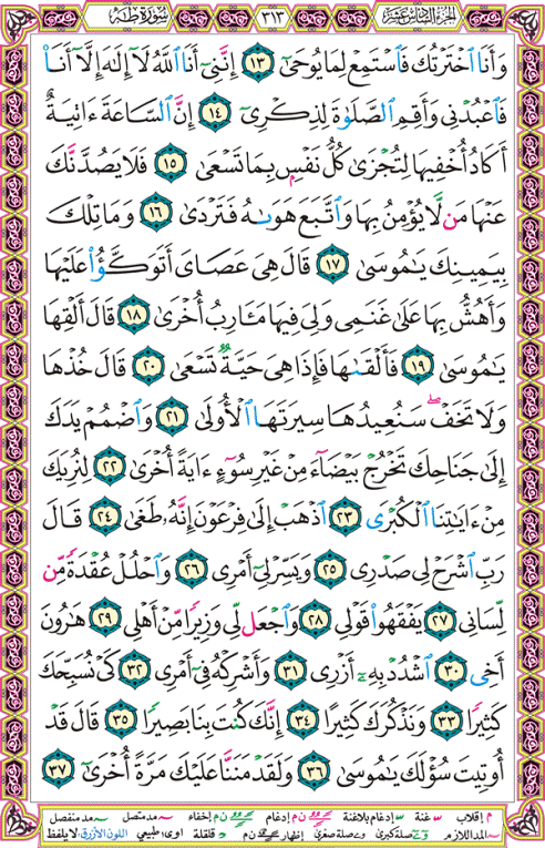 الصفحة رقم 313  من القرآن الكريم مكتوبة من المصحف