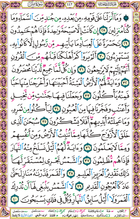 الصفحة رقم 442 من القرآن الكريم مكتوبة من المصحف
