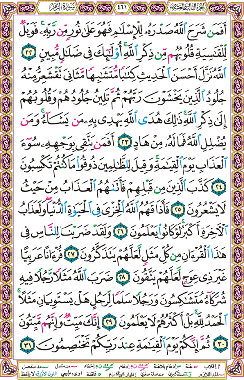 الصفحة رقم 461 من القرآن الكريم مكتوبة من المصحف