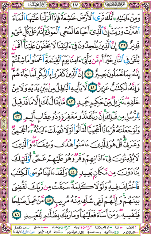 الصفحة رقم 481 من القرآن الكريم مكتوبة من المصحف