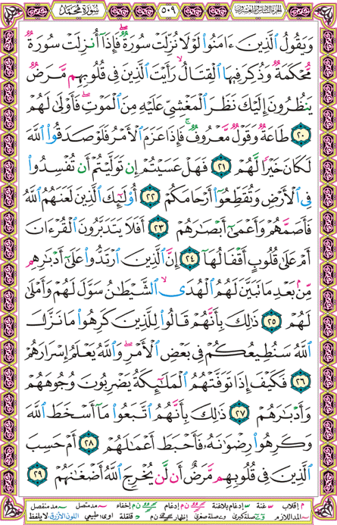 الصفحة رقم 509 من القرآن الكريم مكتوبة من المصحف