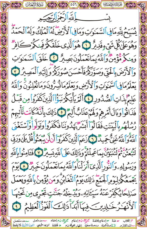 الصفحة رقم 556 من القرآن الكريم مكتوبة من المصحف