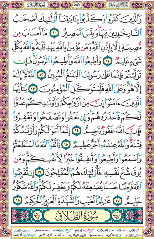 الصفحة رقم 557 من القرآن الكريم مكتوبة من المصحف