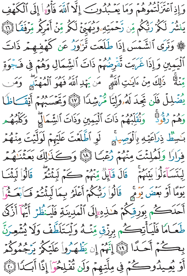 પવિત્ર કુરાન પાનું 295