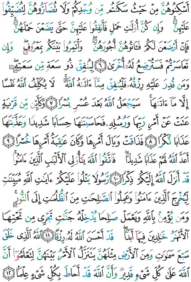 Koranen Side 559