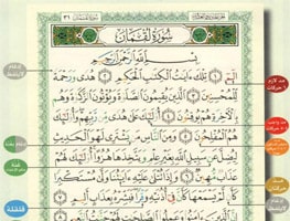سور القرآن الكريم مكتوبة pdf